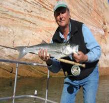 Captain Bill holding a large Striped Bass (striper) and a fly rod while standing on the deck of the boat in Lake Powell, Arizona.