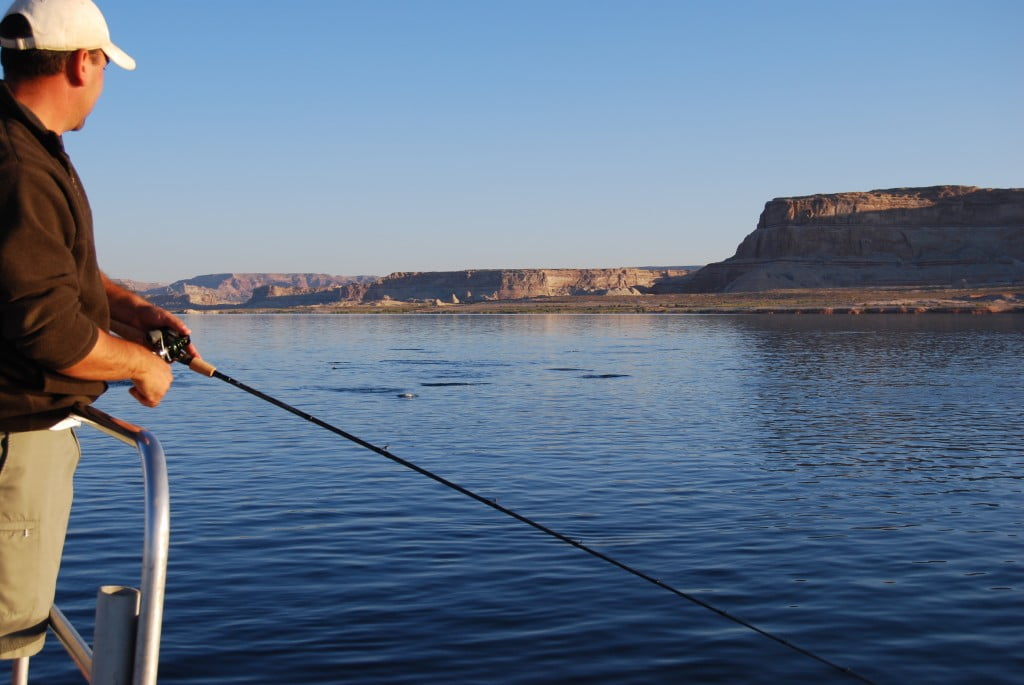 Lake Powell Fishing Report by Capt. Bill & Wayne Gustaveson